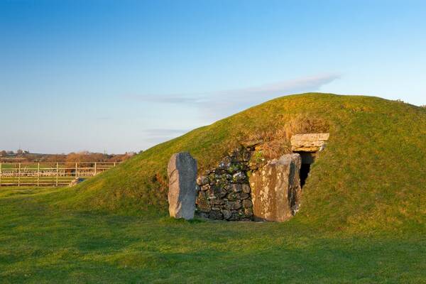 NVW C71 1011 0176 bryn celli