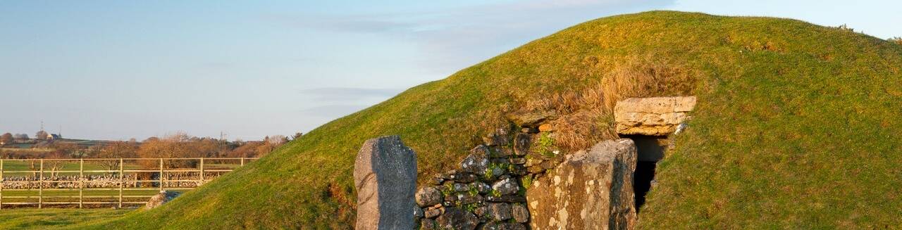 NVW C71 1011 0176 bryn celli