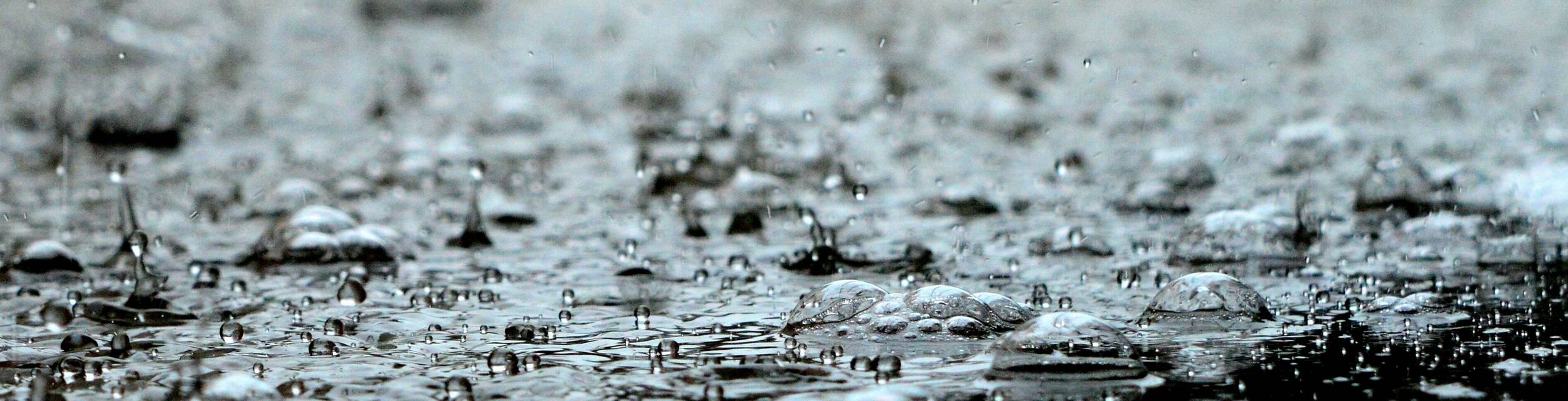 Pexels pixabay 459451