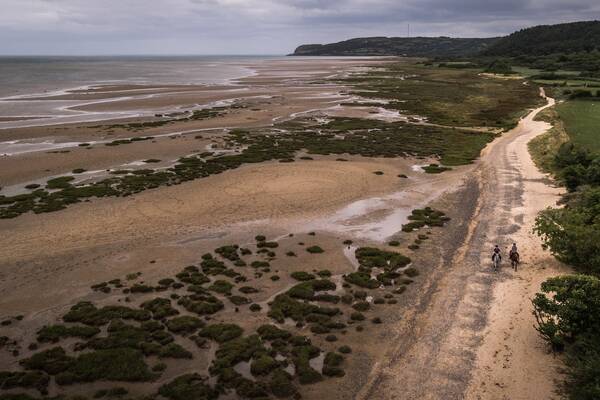 WCP HORSES ON BEACH 3 1