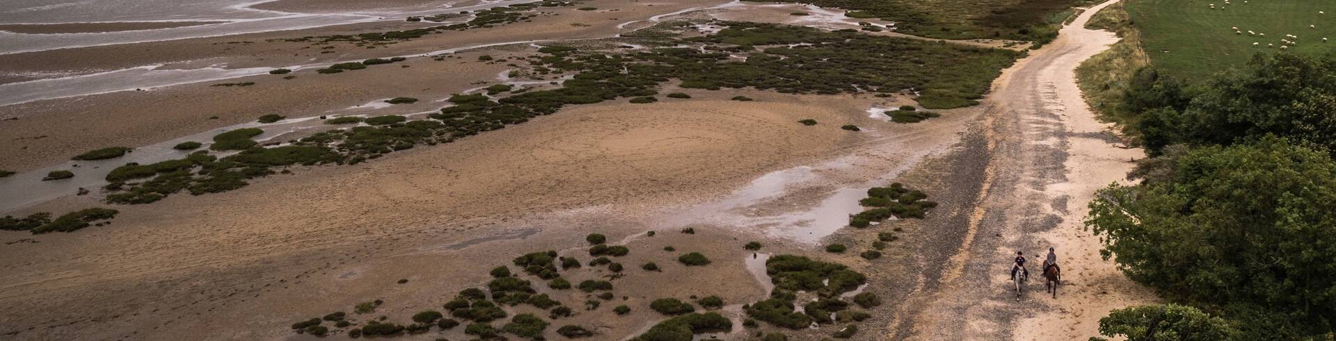 WCP HORSES ON BEACH 3 1
