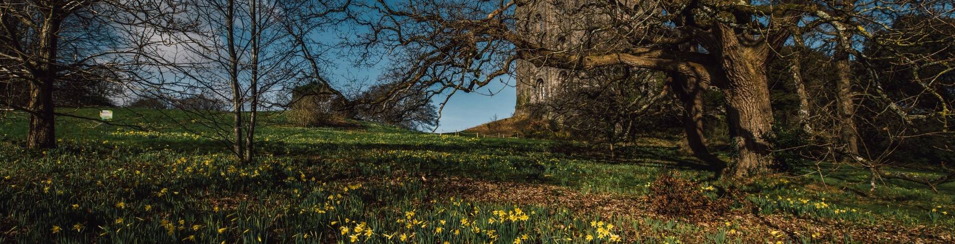 An autumnal shot of the Dolbadarn Castle, located in the grounds of The Royal Victoria Hotel