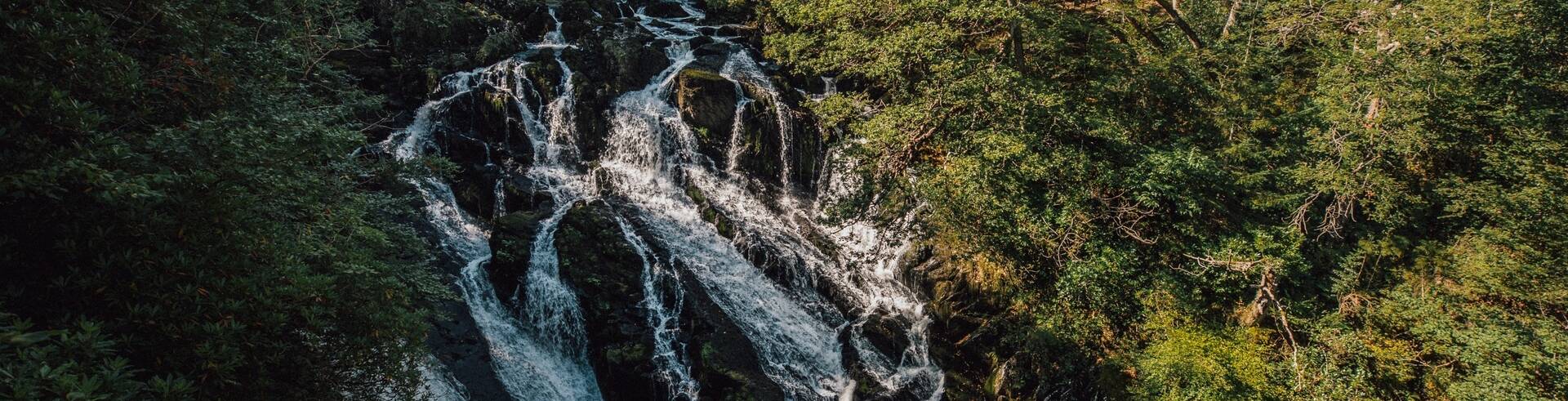 Swallow Falls cascading through woodland near Betws-y-Coed in Snowdonia National Park.