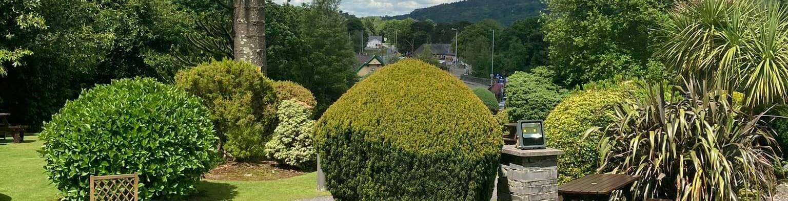 285560770 5095812563860220 1388106072515565584 n