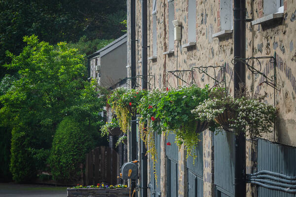 Coach House room offering comfortable accommodation in Llanberis at The Royal Victoria Hotel.