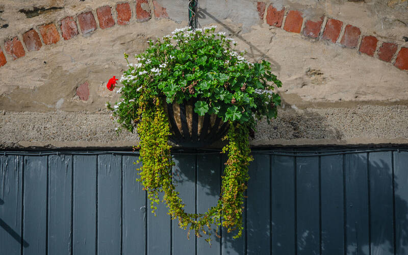 View of the Coach House at The Royal Victoria Hotel Llanberis, showing stone walls and floral surroundings.